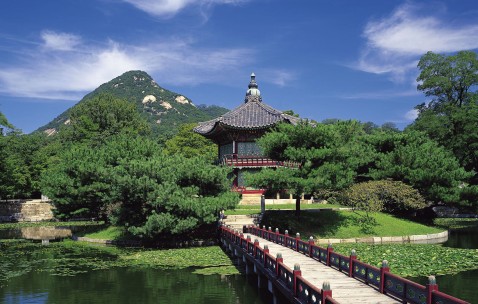 早孕试纸几道杠怀孕（早孕试纸几道杠怀孕几率多大）
